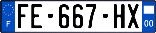 FE-667-HX