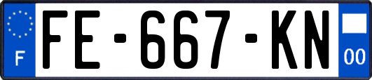FE-667-KN