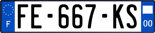 FE-667-KS