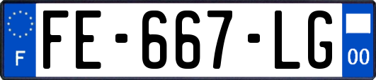 FE-667-LG