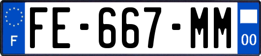 FE-667-MM