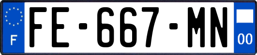 FE-667-MN