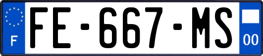 FE-667-MS