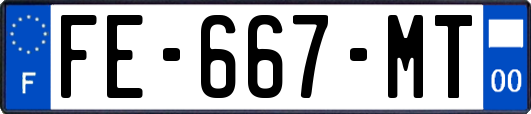 FE-667-MT
