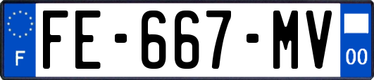 FE-667-MV