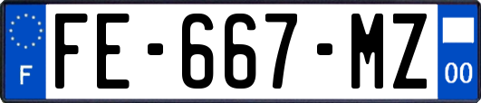 FE-667-MZ