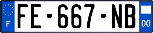 FE-667-NB