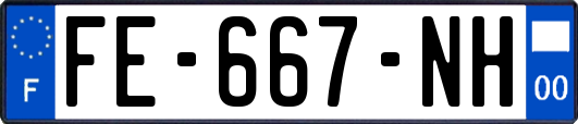 FE-667-NH