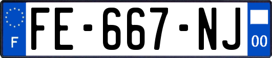 FE-667-NJ
