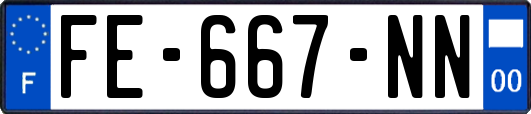 FE-667-NN