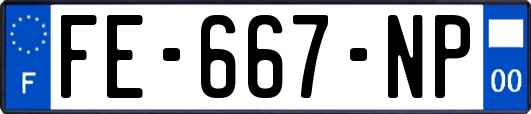 FE-667-NP