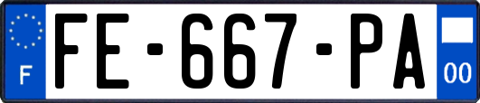 FE-667-PA