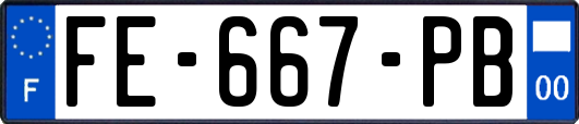 FE-667-PB
