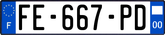 FE-667-PD