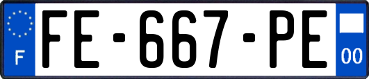 FE-667-PE