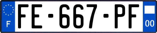 FE-667-PF