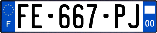 FE-667-PJ