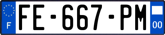 FE-667-PM