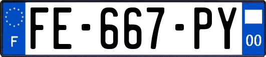 FE-667-PY