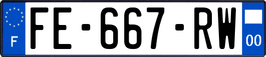 FE-667-RW