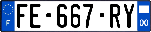 FE-667-RY