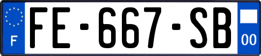 FE-667-SB