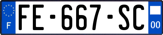 FE-667-SC