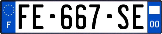 FE-667-SE
