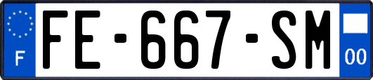 FE-667-SM