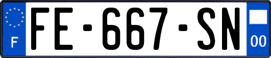 FE-667-SN