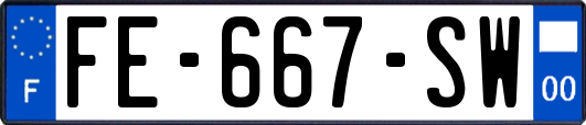 FE-667-SW