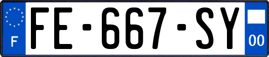 FE-667-SY