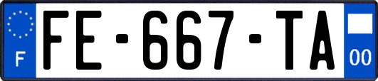 FE-667-TA