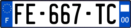 FE-667-TC