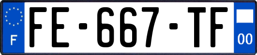 FE-667-TF