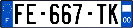 FE-667-TK