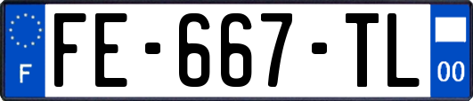 FE-667-TL