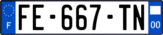 FE-667-TN