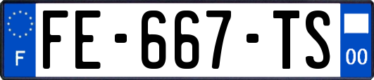 FE-667-TS