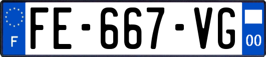 FE-667-VG