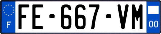 FE-667-VM
