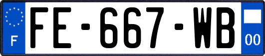 FE-667-WB