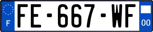FE-667-WF