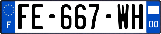 FE-667-WH