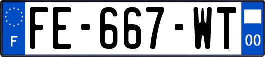 FE-667-WT