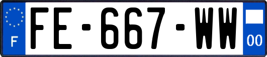 FE-667-WW