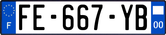 FE-667-YB