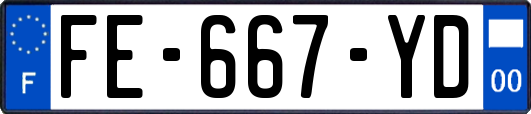 FE-667-YD