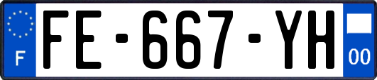FE-667-YH
