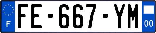 FE-667-YM